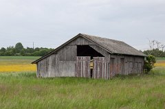 IMG_0542_c