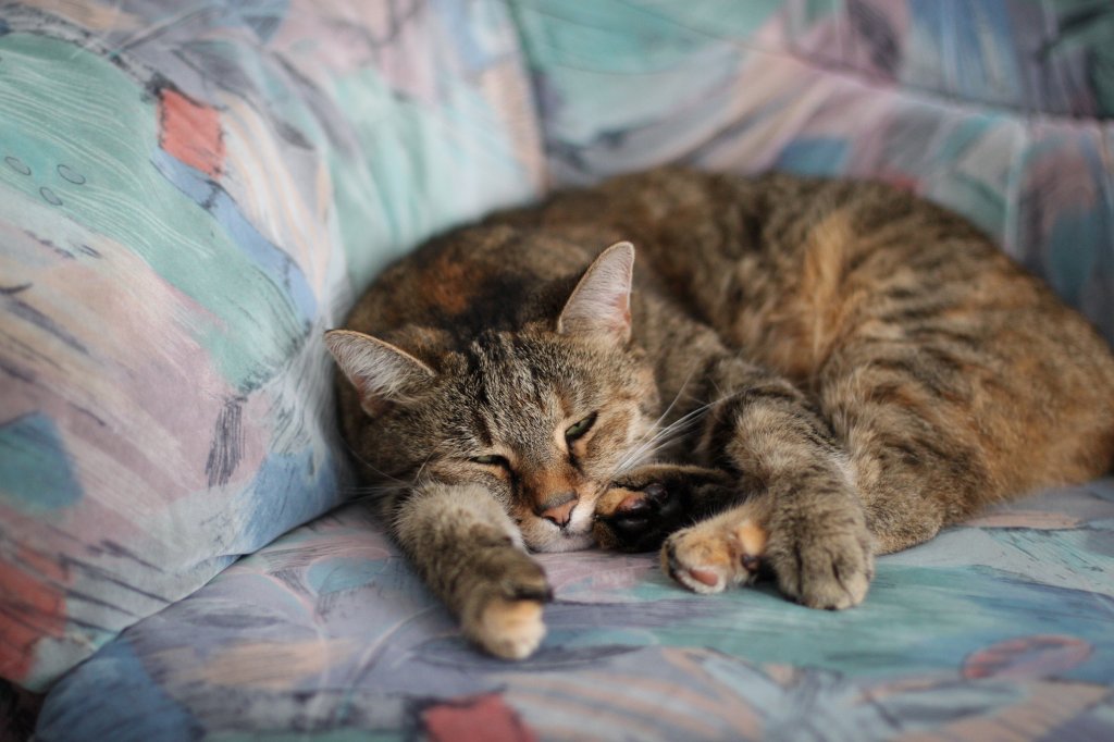 IMG_1202.JPG - Peeping what is going on