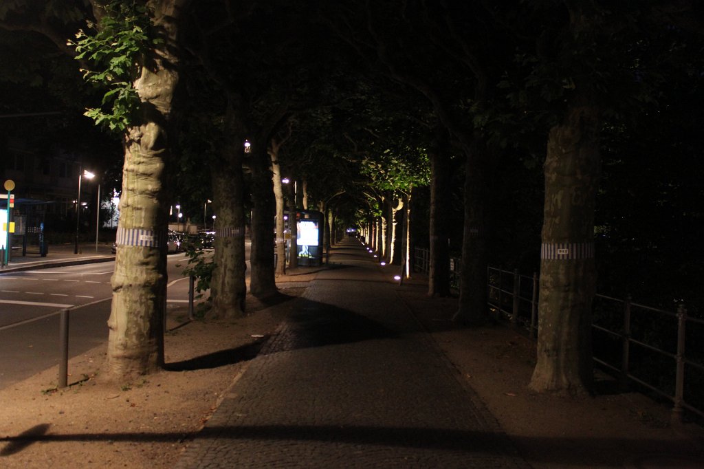 IMG_2015.JPG - Alley