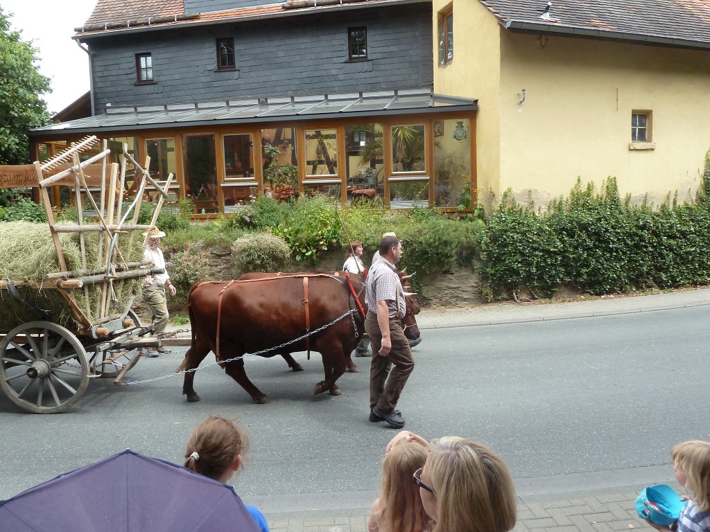 P1140612.JPG - Festumzug 750 Jahre Hausen-Arnsbach