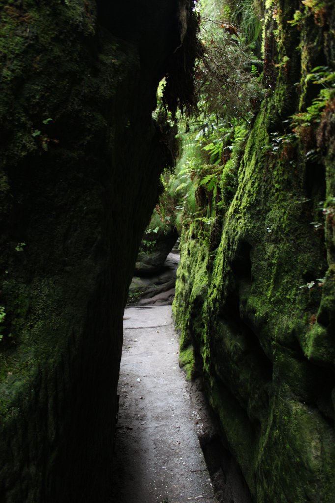 IMG_3692.JPG - Aufstieg durch die  Schwedenlöcher  zur  Bastei 