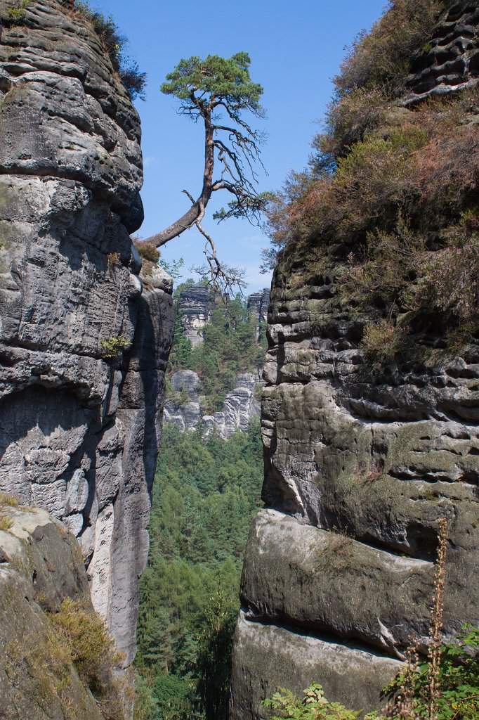 IMG_3799_c.jpg -  Neurathen Castle 