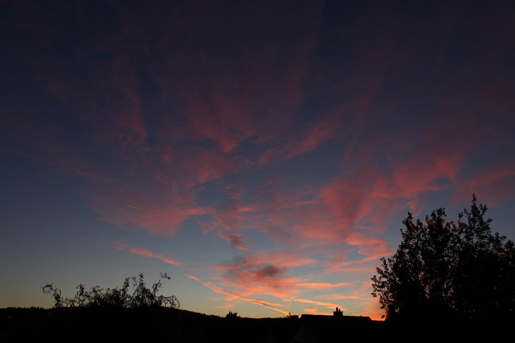 IMG_4712.JPG - Red in the evening