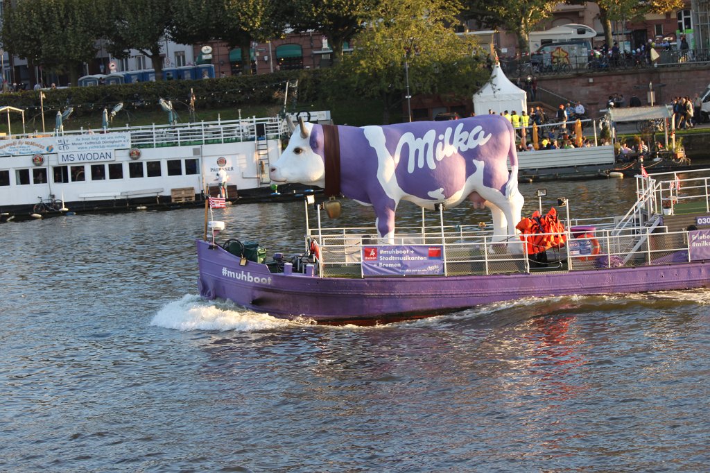 IMG_4737.JPG - #muhboot