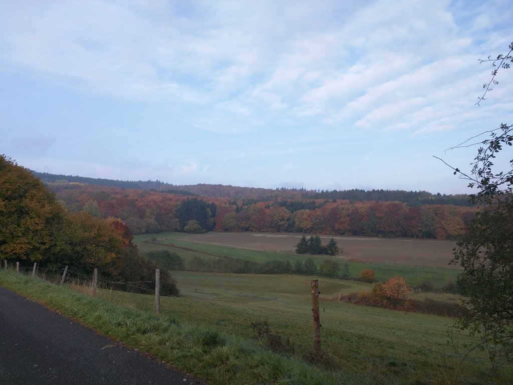 IMG_20151026_092501.jpg - Indian summer