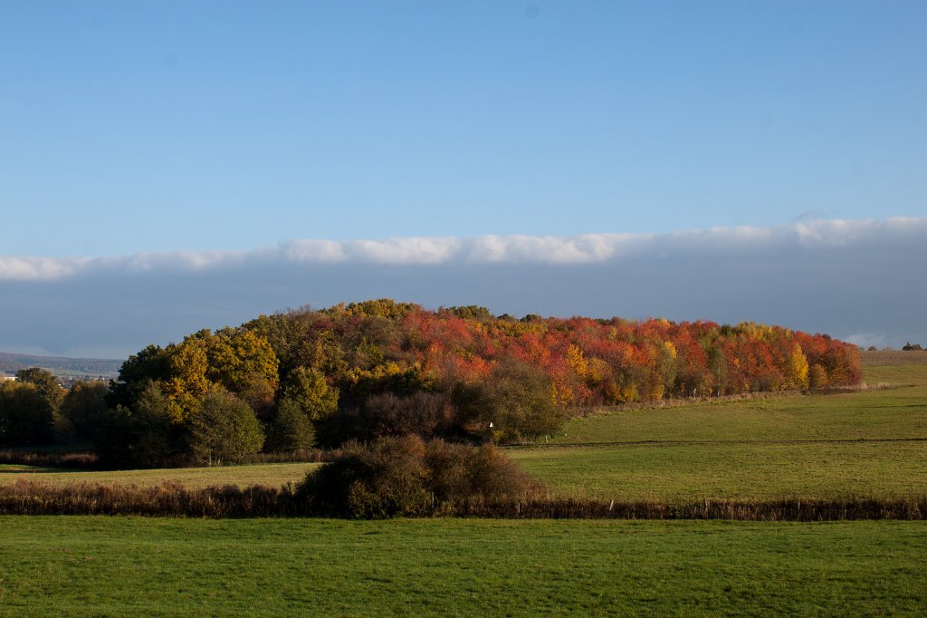 IMG_5306_c.jpg - Golden October