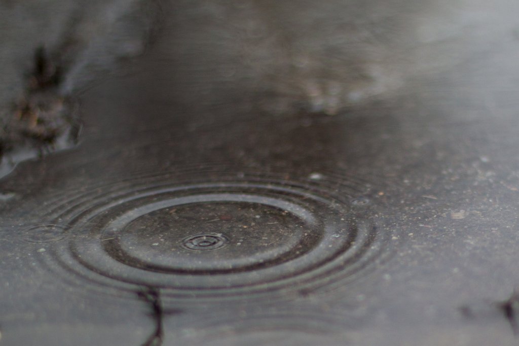 IMG_6247_c.jpg - Rain drops on street