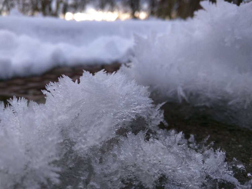 IMG_20160120_092035.jpg - Growing ice