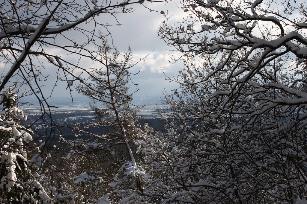 IMG_6416.JPG - Snowy lookout to Frankfurt in the haze