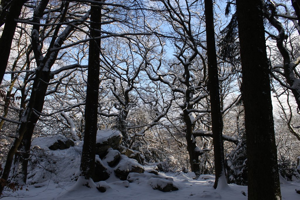 IMG_6446.JPG -  Marmorstein  in white