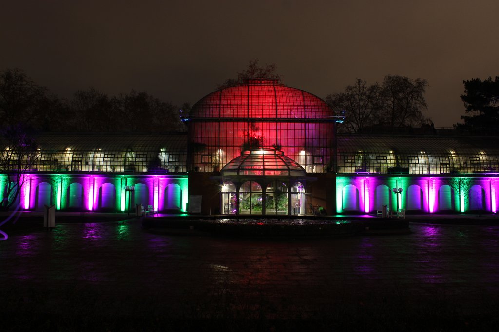 IMG_6512.JPG -  Palmengarten  Winterlichter 2016