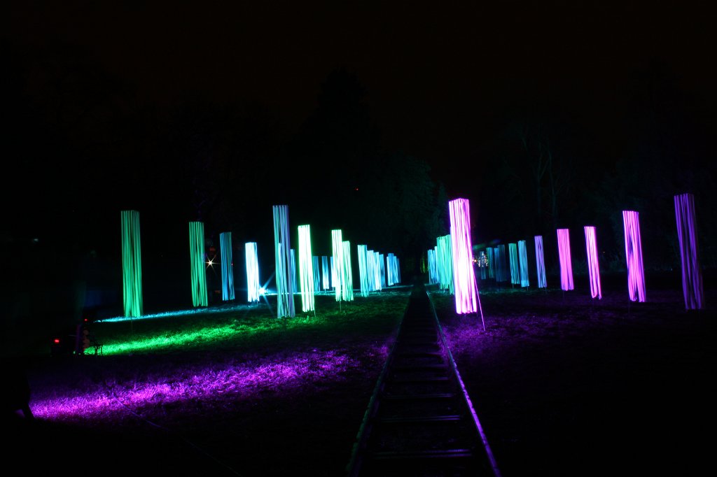 IMG_6543.JPG -  Palmengarten  Winterlichter 2016