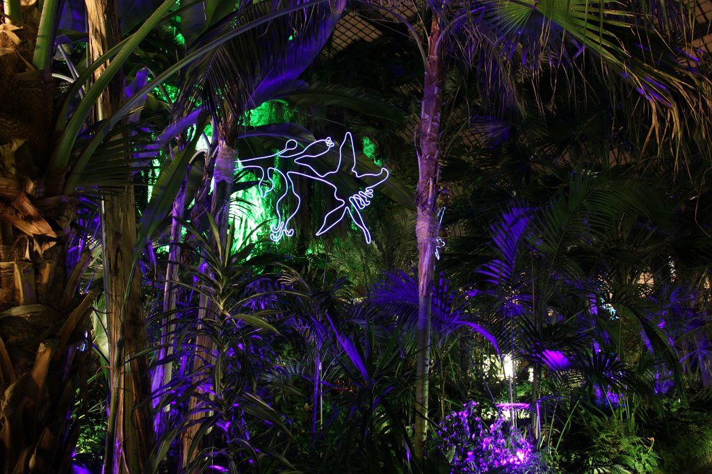 IMG_6577.JPG -  Palmengarten  Winterlichter 2016
