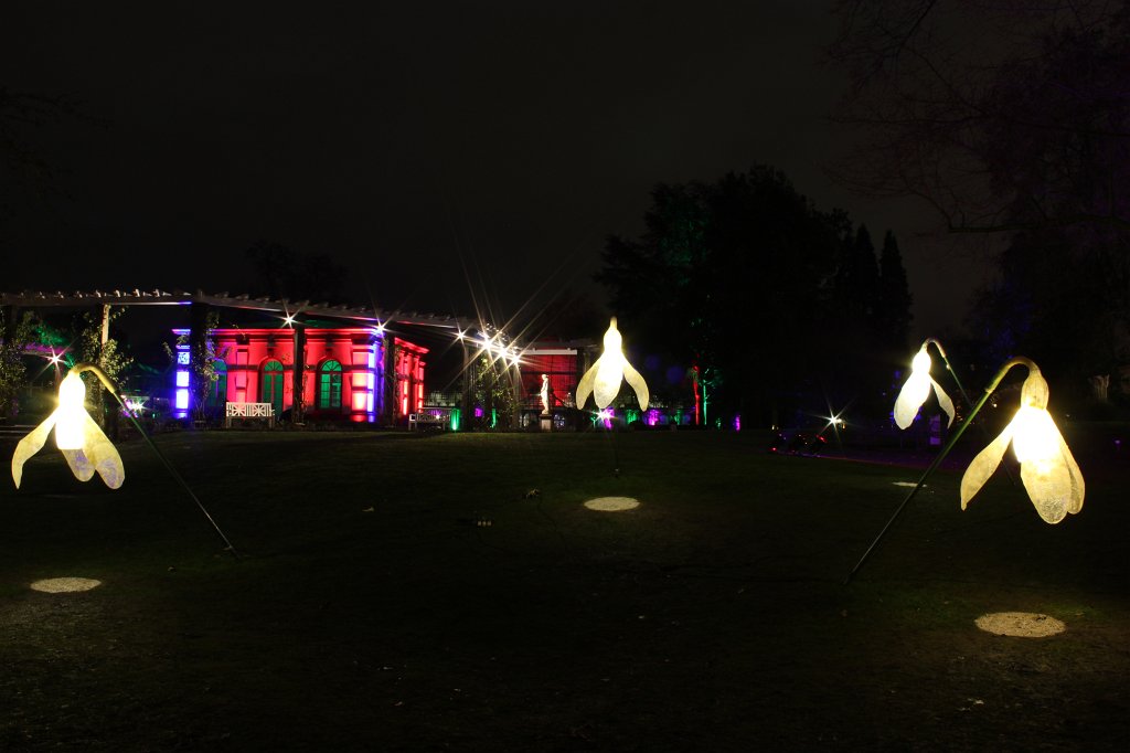 IMG_6590.JPG -  Palmengarten  Winterlichter 2016
