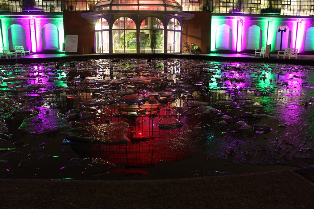 IMG_6602.JPG -  Palmengarten  Winterlichter 2016