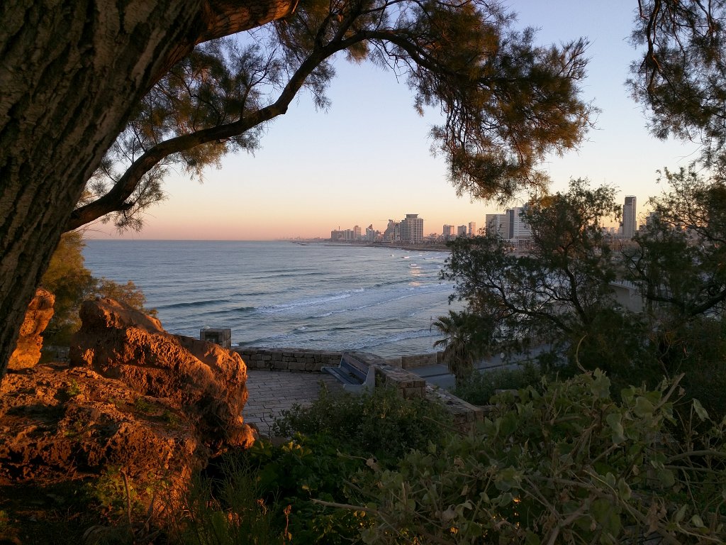 IMG_20160128_065604.jpg - Tel Aviv glimpse