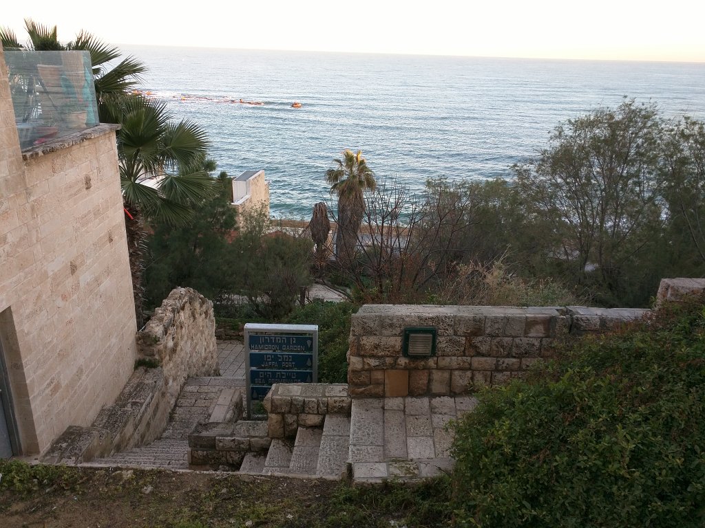 IMG_20160128_070717.jpg -  Jaffa 