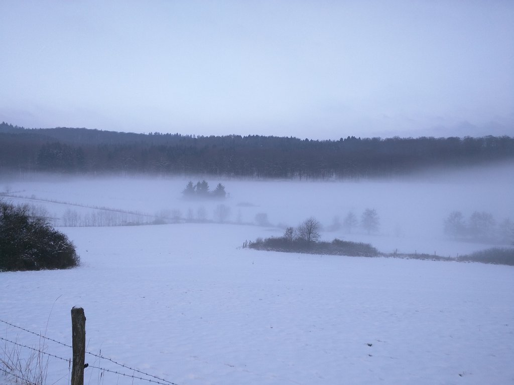 IMG_20160121_091918.jpg - Fog in the valley