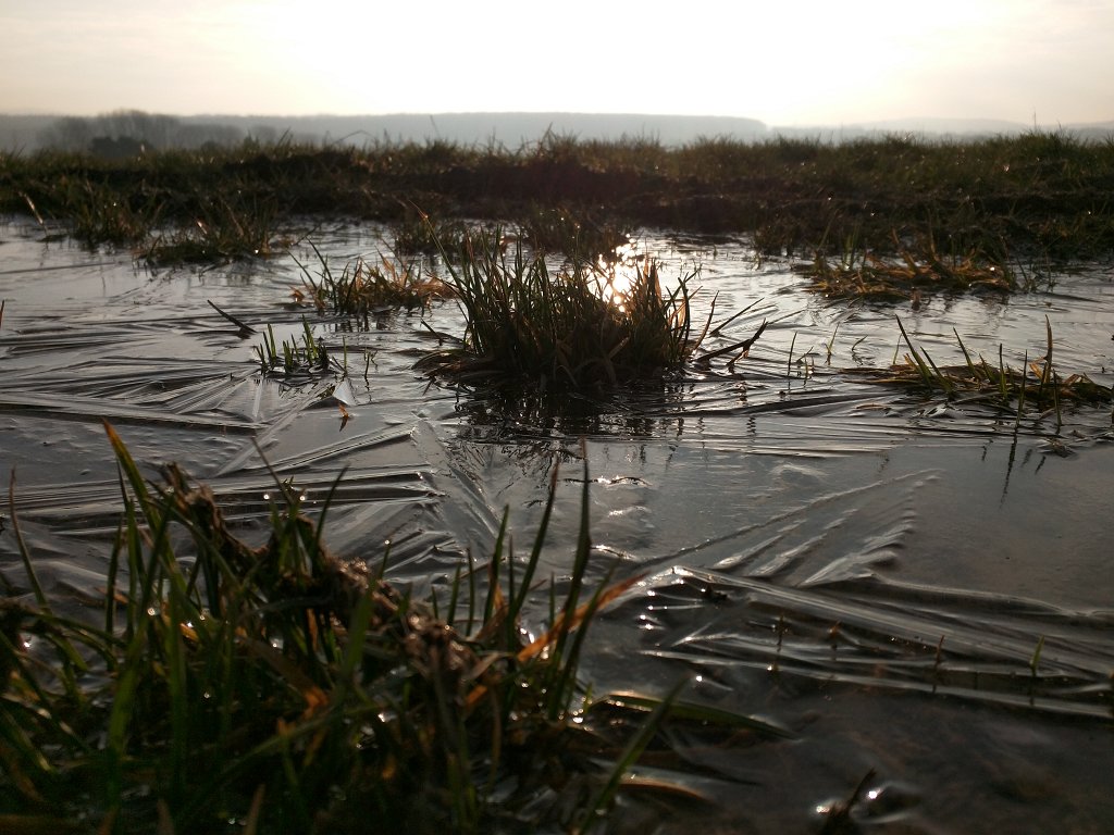 IMG_20160217_084952.jpg - Frozen puddle