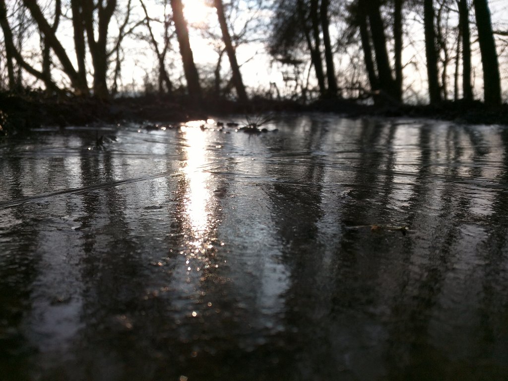 IMG_20160217_085424.jpg - Frozen puddle