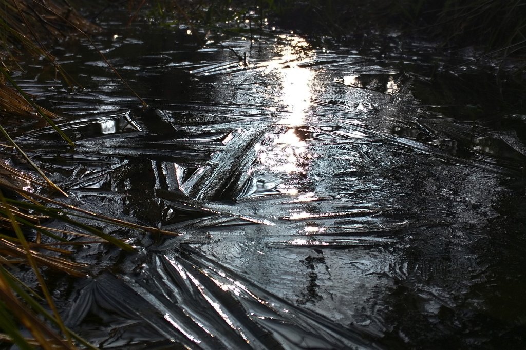IMG_20160217_092144_c.jpg - Frozen puddle