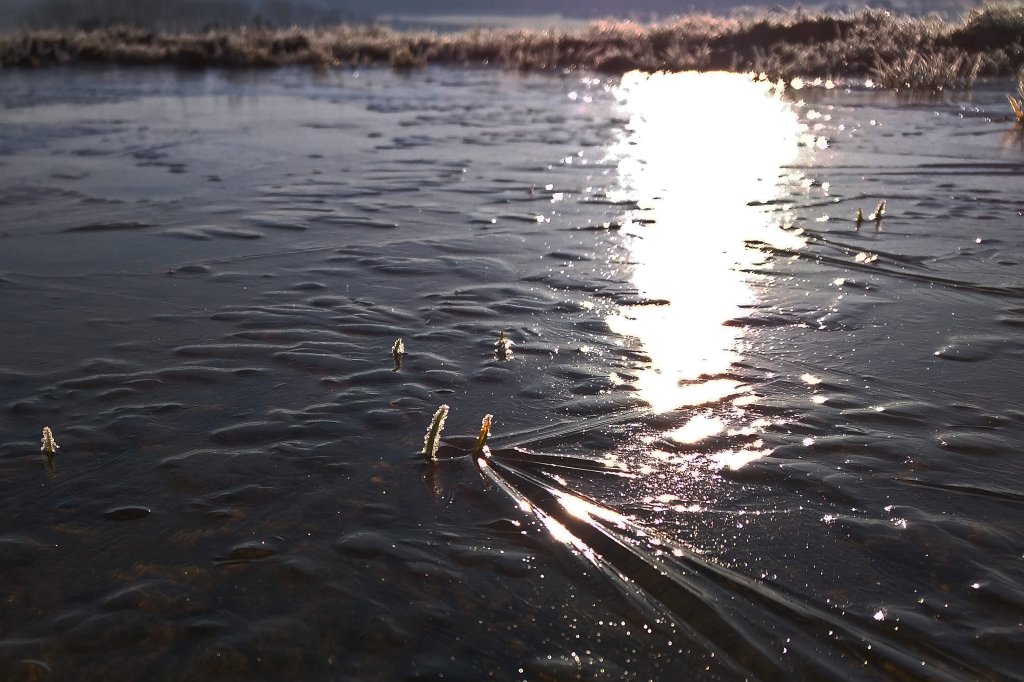 IMG_20160225_085020_c.jpg - Frozen puddle