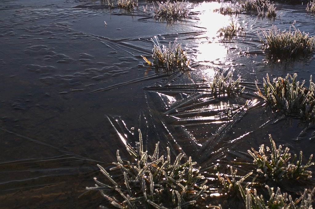 IMG_20160225_085103_c.jpg - Frozen puddle