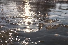 IMG_20160225_083915_c