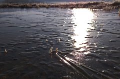 IMG_20160225_085020_c