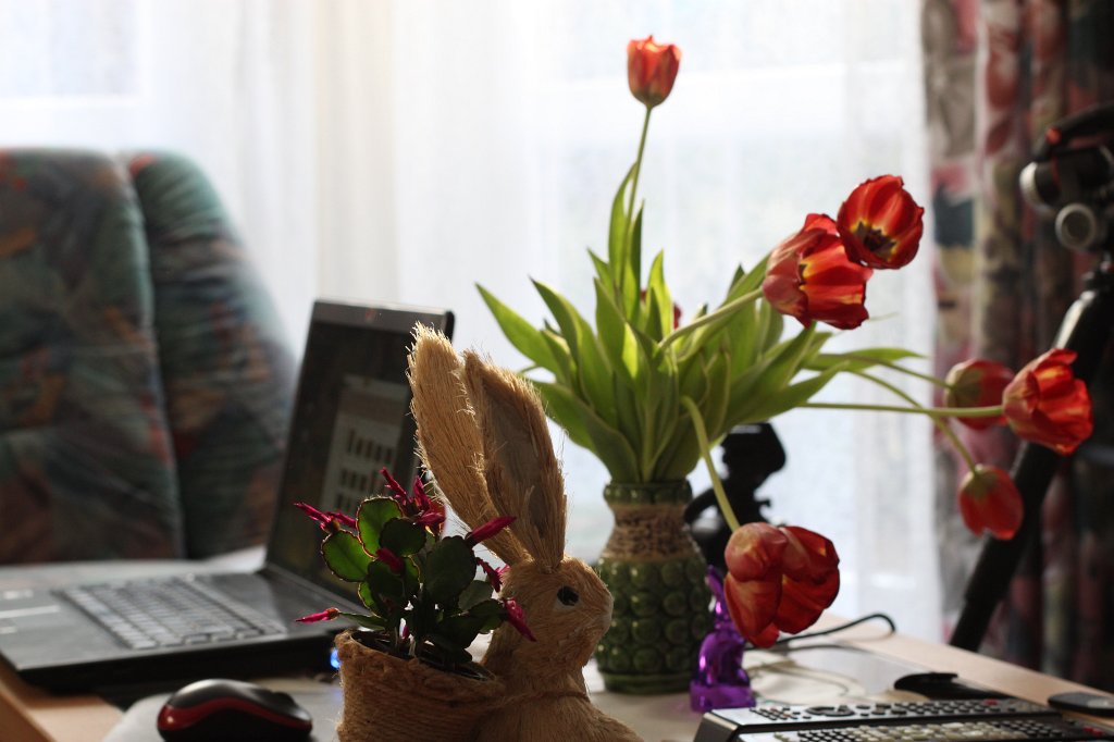 IMG_8233.JPG - Flowers and Laptop