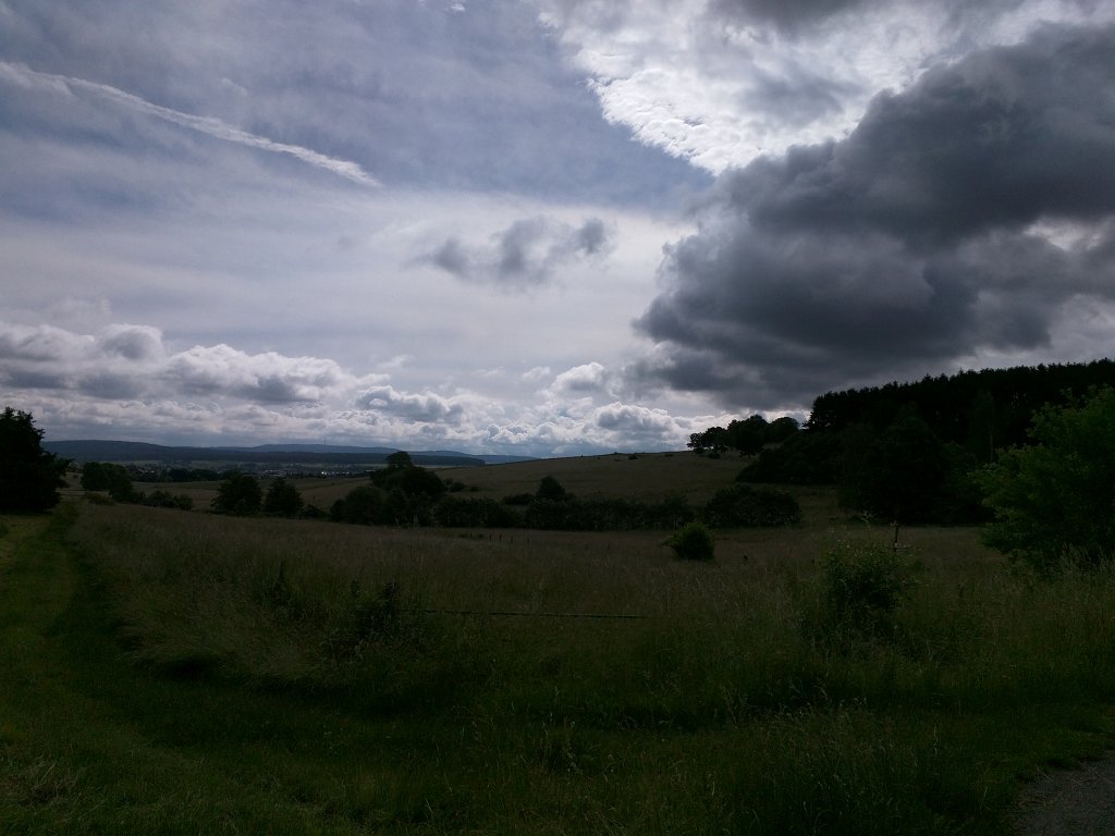 IMG_20160617_092900.jpg - Wiesen