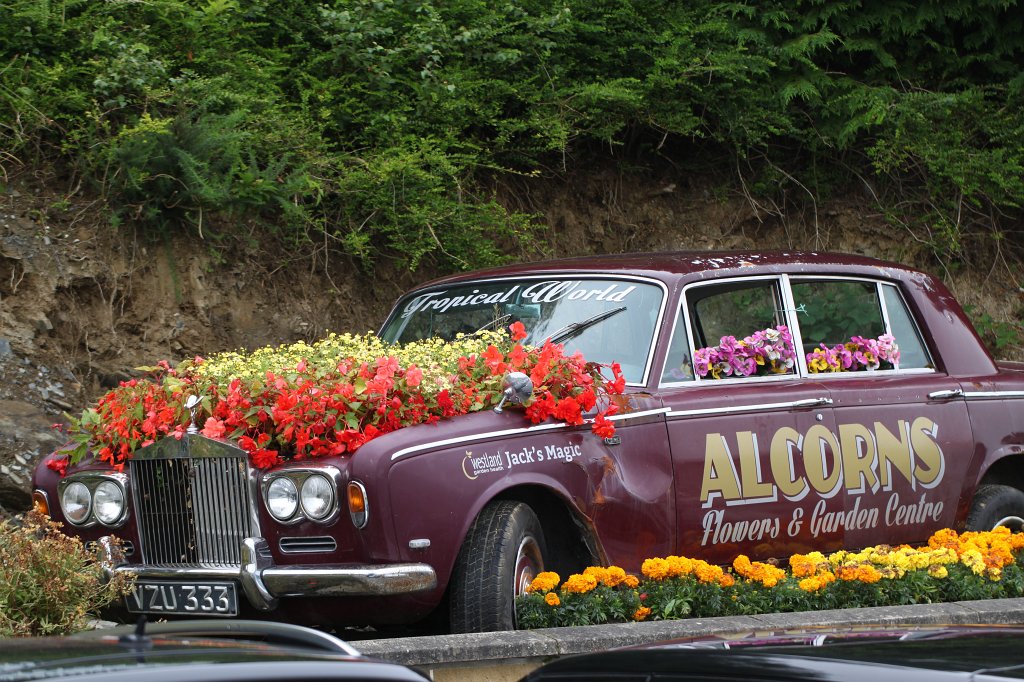 IMG_4446.JPG - Luxury flower pot