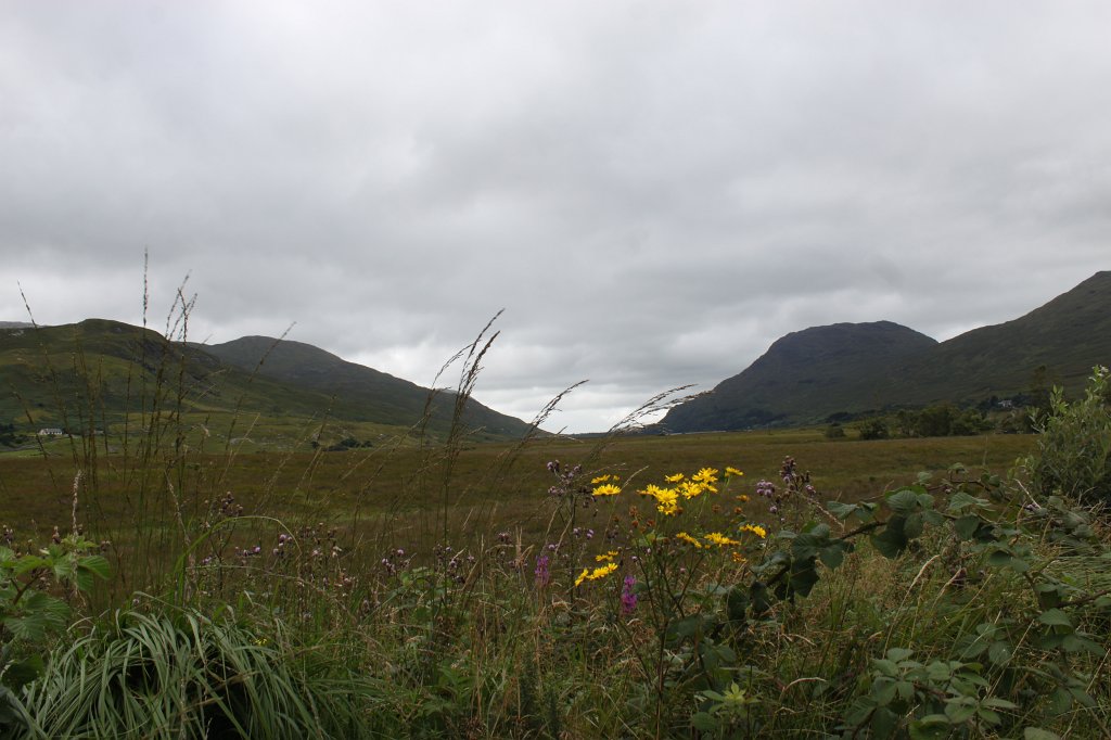 IMG_5075.JPG -  Connemara National Park 