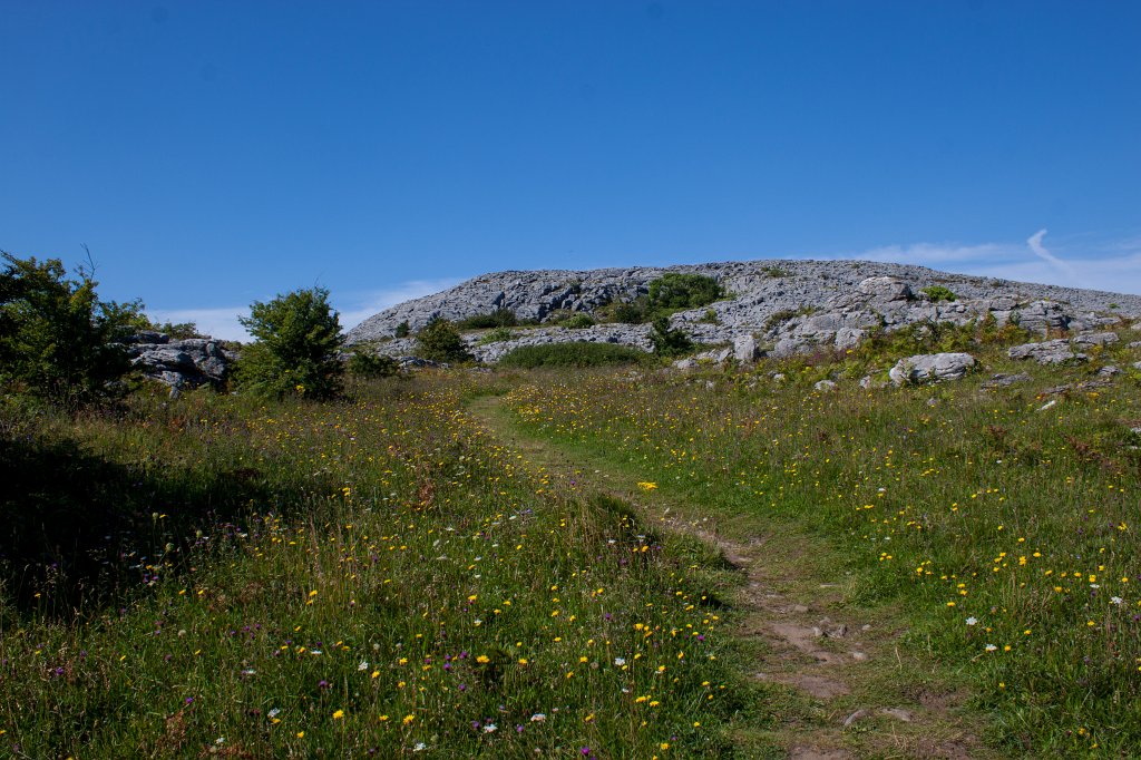 IMG_5228_c.jpg - Irish summer in the  Burren 