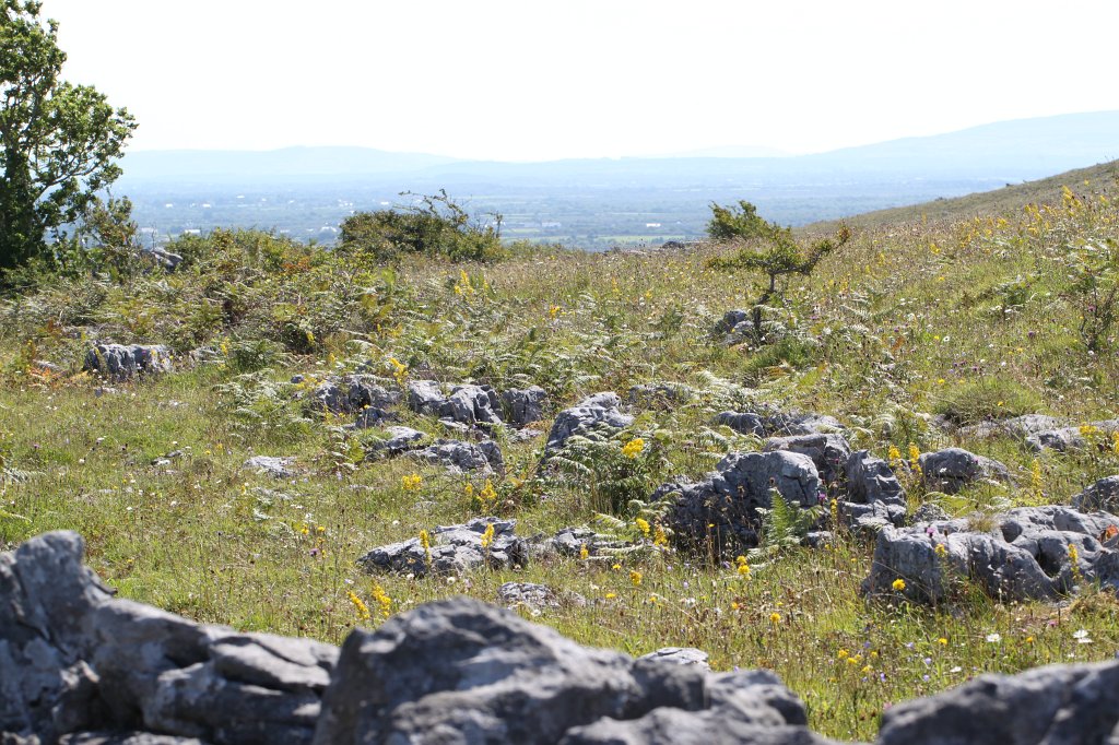 IMG_5306.JPG - The  Burren 