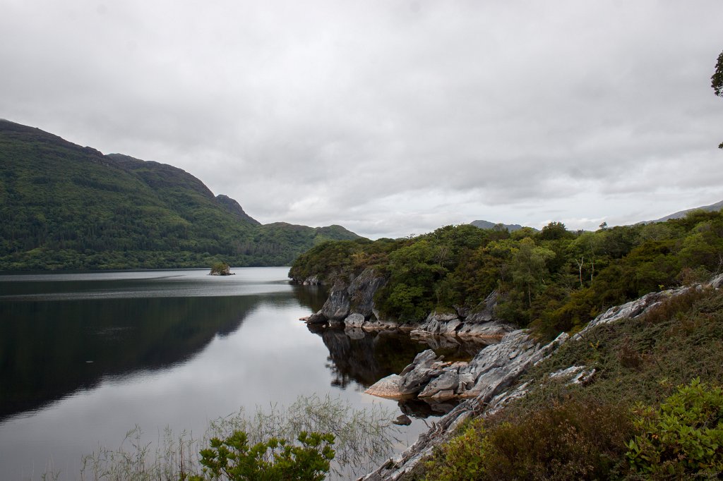 IMG_5683_c.jpg -  Muckross Lake 