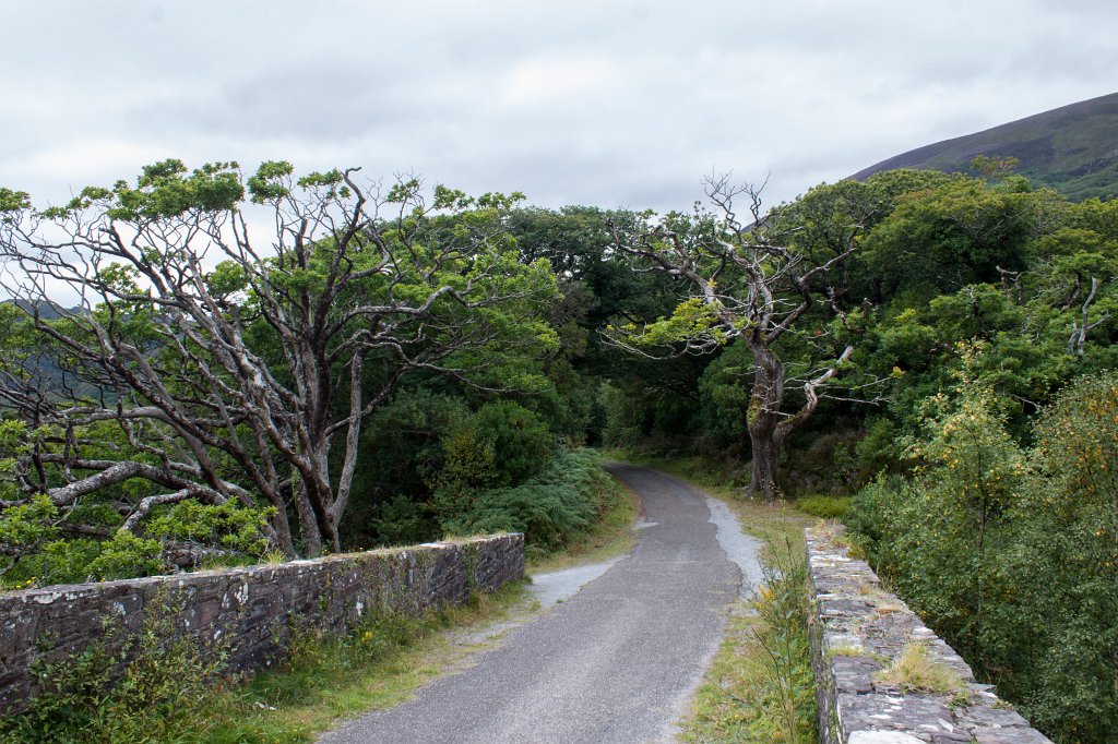 IMG_5725_c.jpg - Path along  Muckross Lake 