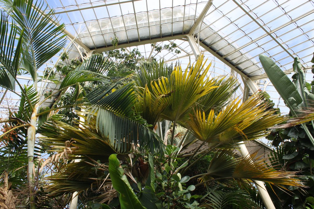 IMG_6193.JPG -  National Botanic Gardens of Ireland 