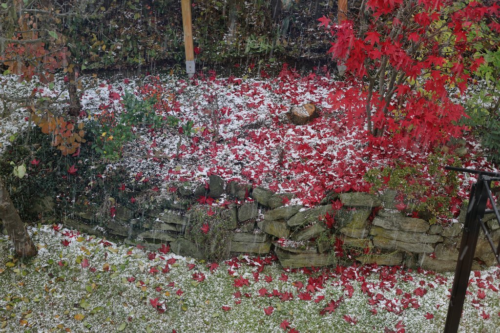 574A0394.JPG - Hagel