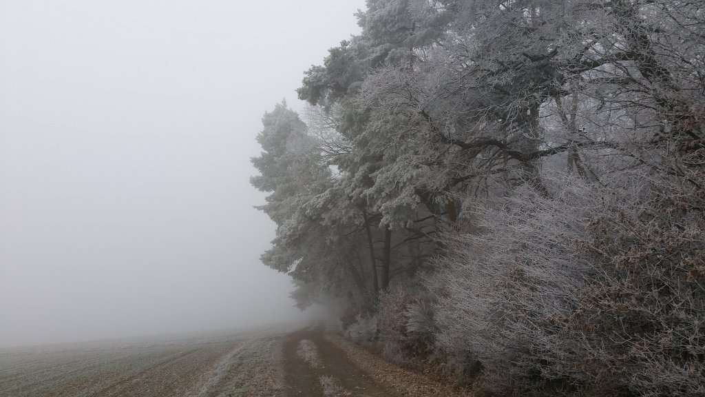 20161206_091902.jpg - Hoar frost