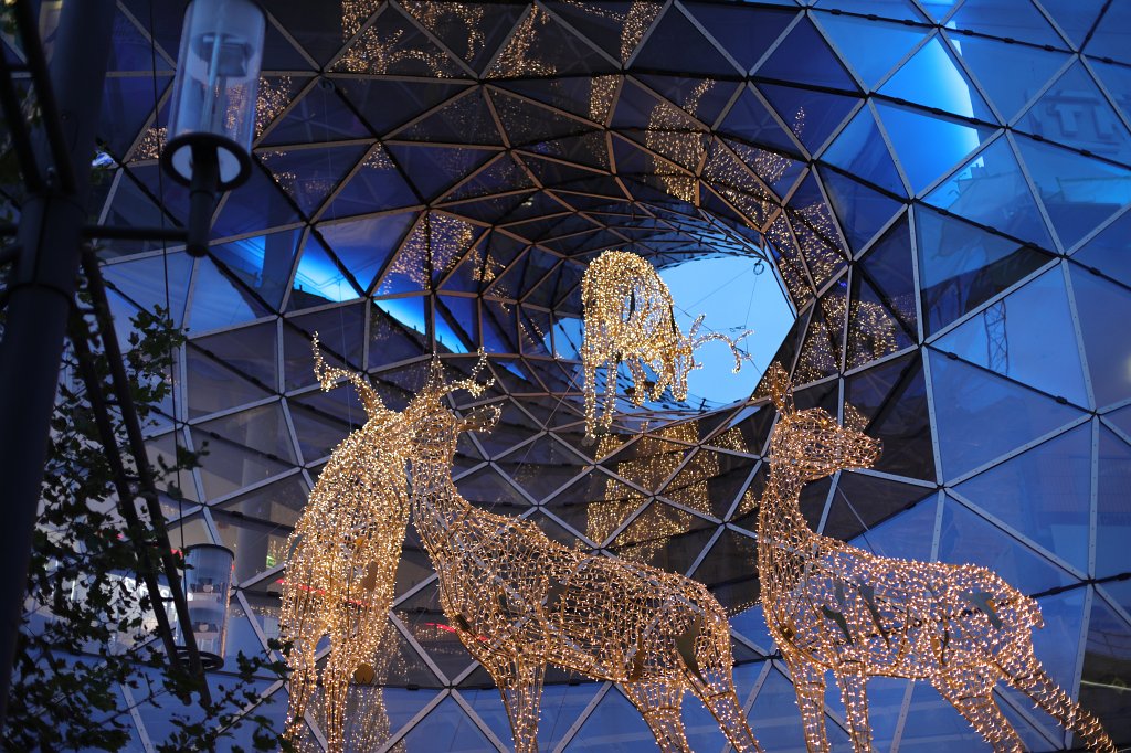 574A0455.JPG - MyZeil Weihnachtsdekoration