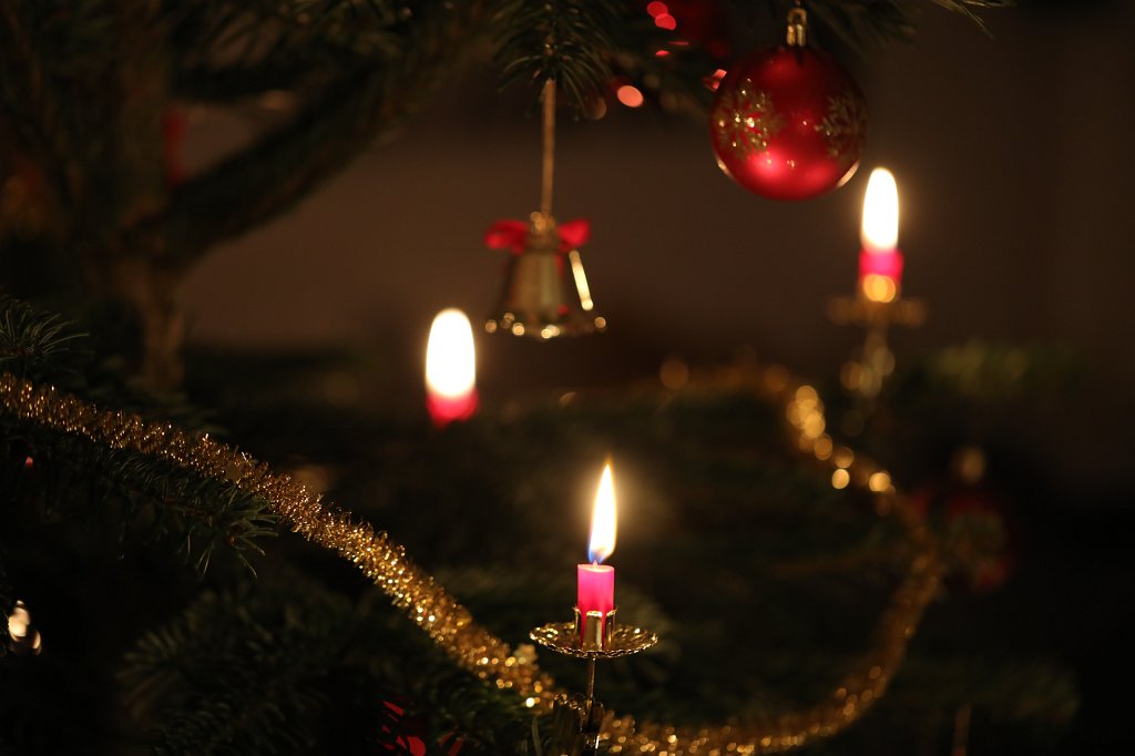 574A0649.JPG - Weihnachtsbaum