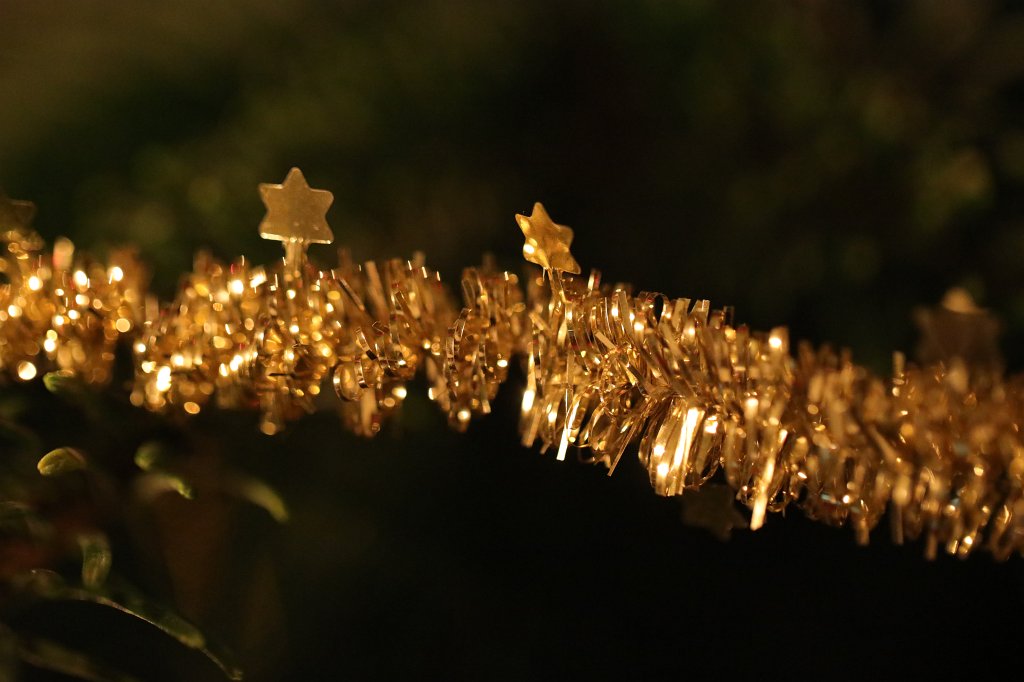 574A0670.JPG - Weihnachtsbaum