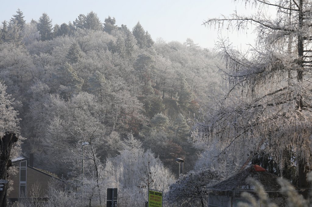 574A0805.JPG - Hoar frost