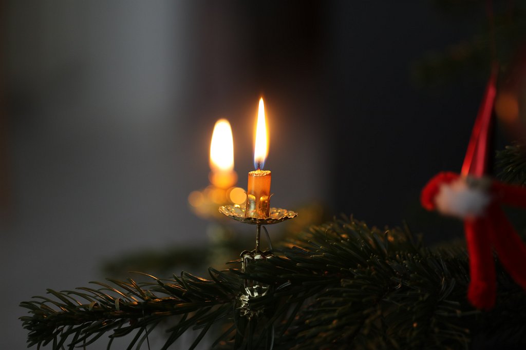 574A0940.JPG - Christmas tree