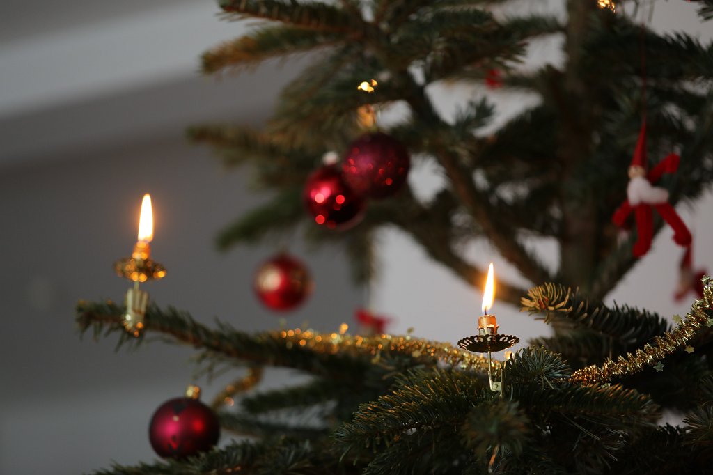 574A0943.JPG - Christmas tree