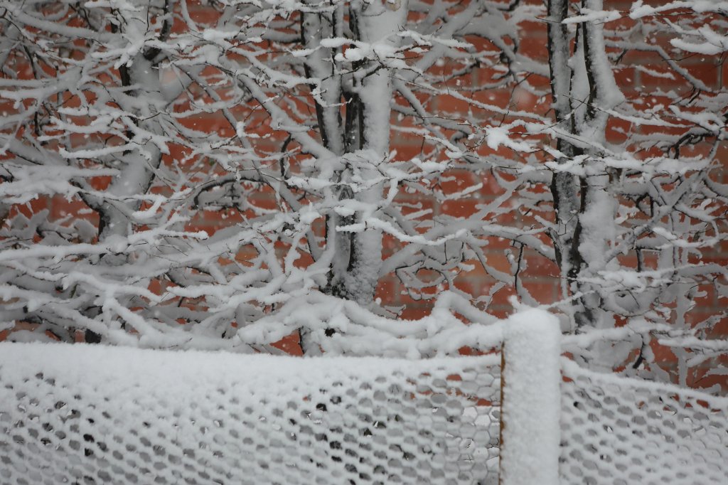 574A0960.JPG - Snow fall