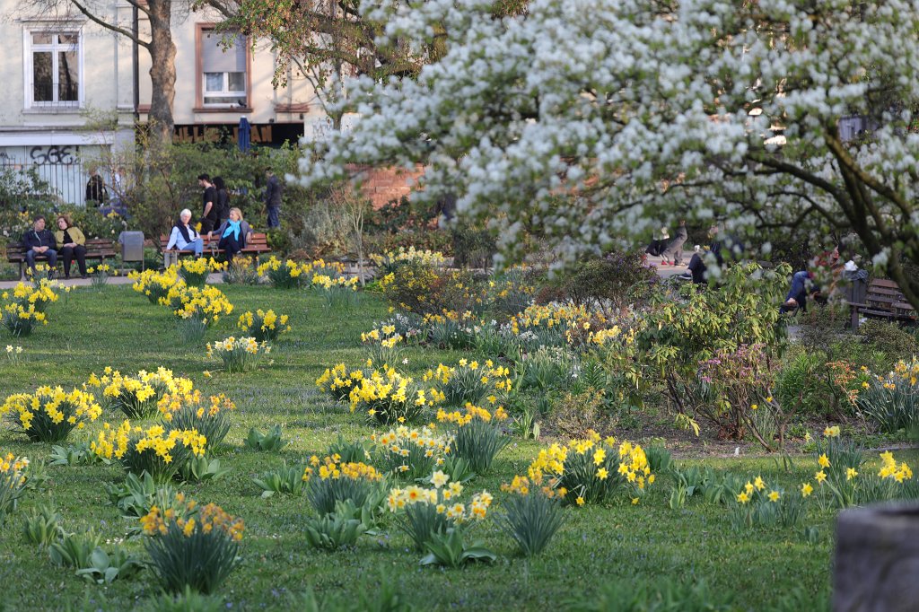 574A3996.JPG -  Bethmannpark 