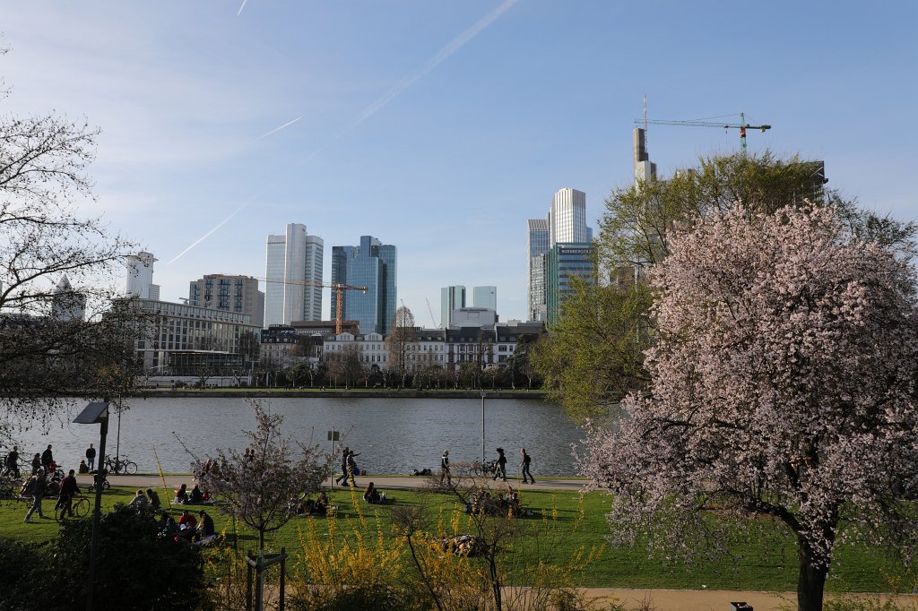 574A3640.JPG - Spring in  Frankfurt 