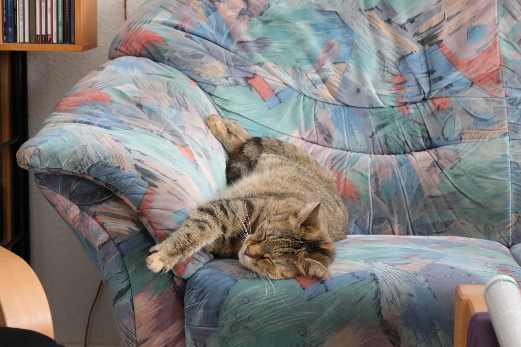 574A3679.JPG - Emily